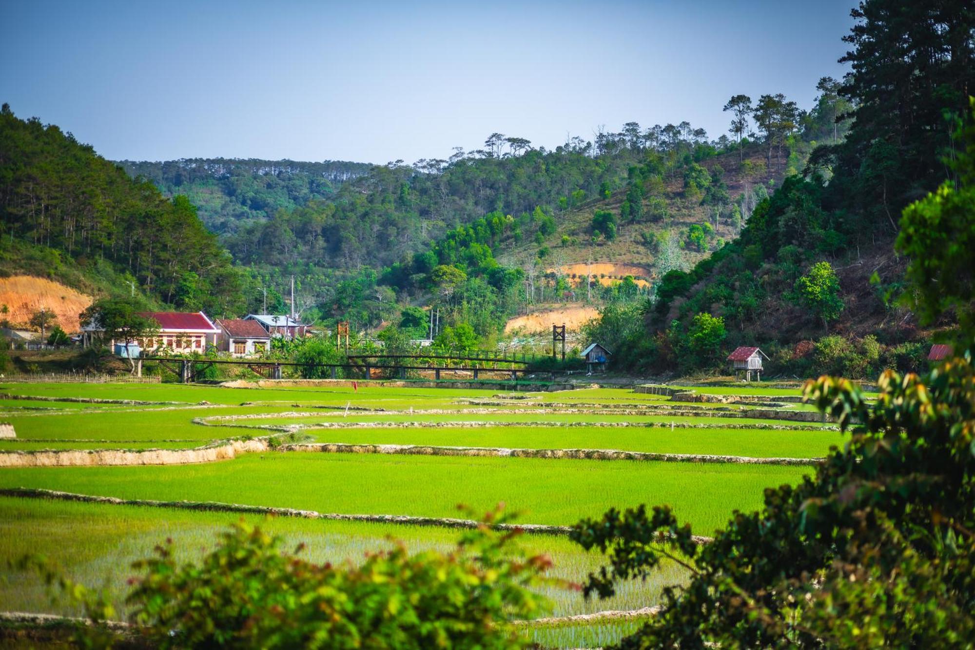 Nha Trong Ban - Homestay Mang Den Kon Von Kla Εξωτερικό φωτογραφία